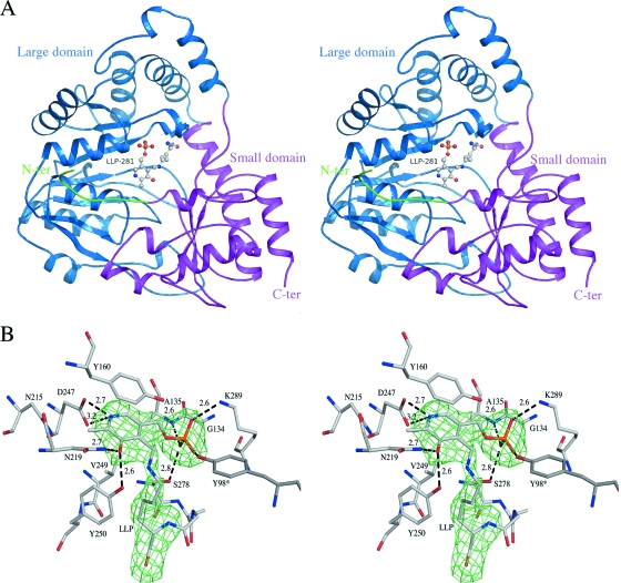 FIG. 4.