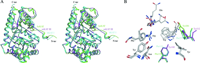 FIG. 8.