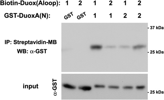 FIGURE 9.