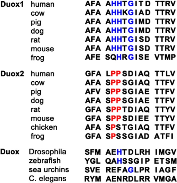 FIGURE 11.