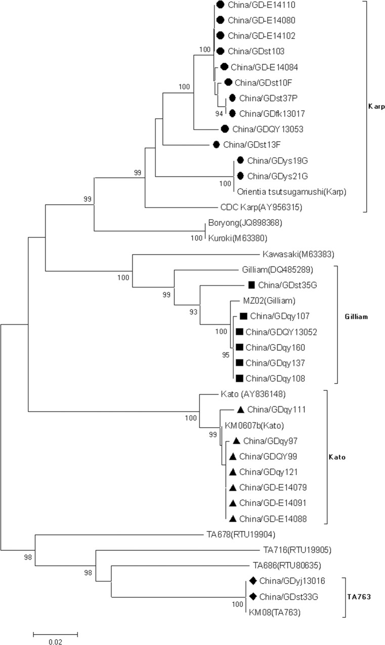 Fig 4