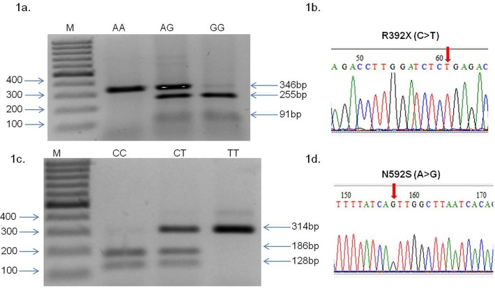 Fig 1