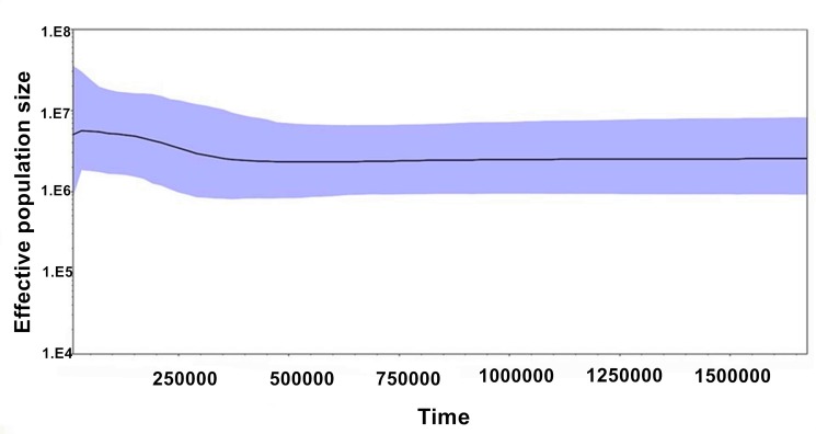 Fig 5