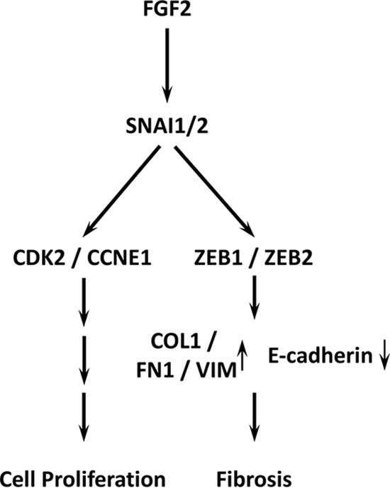 Figure 10.