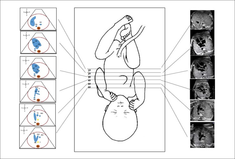 Figure 2.1