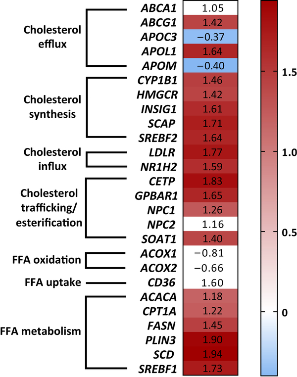 Figure 6.