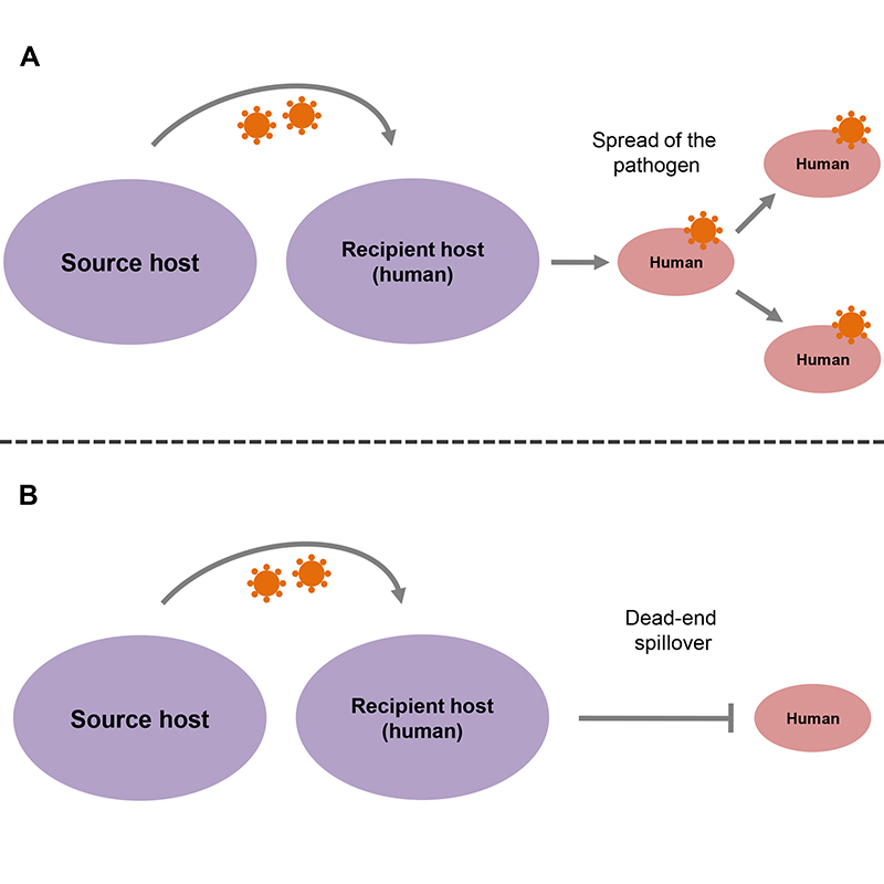 Figure 4 -