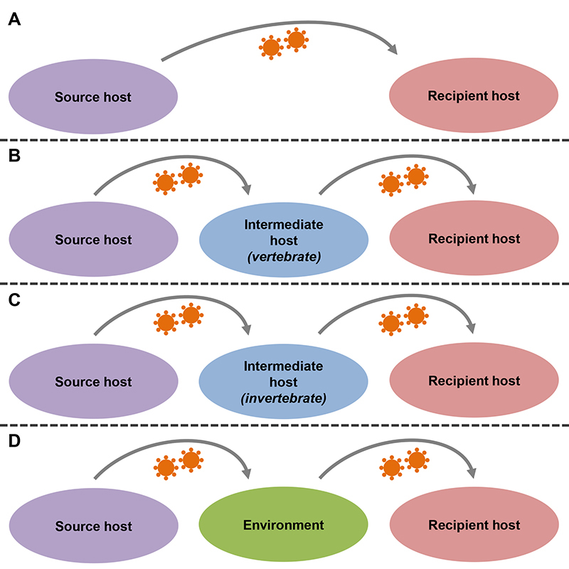 Figure 2 -