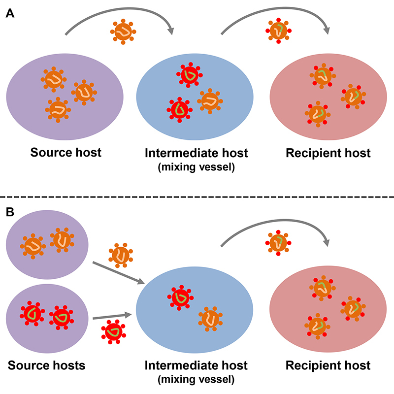 Figure 3 -