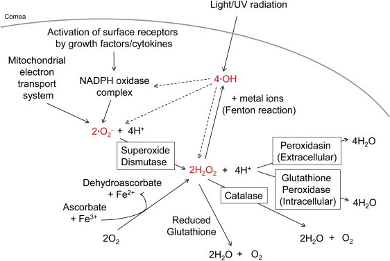 Figure 6