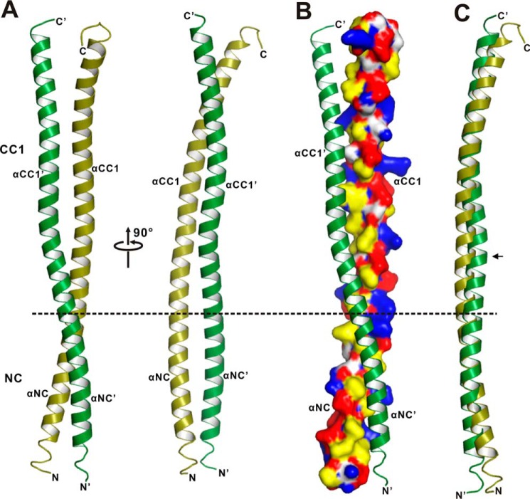 FIGURE 5.