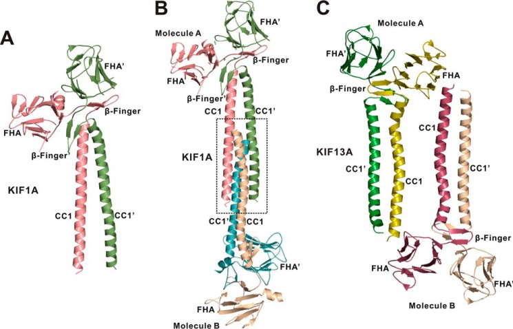 FIGURE 3.