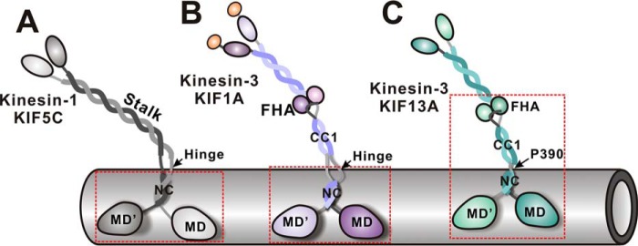 FIGURE 10.