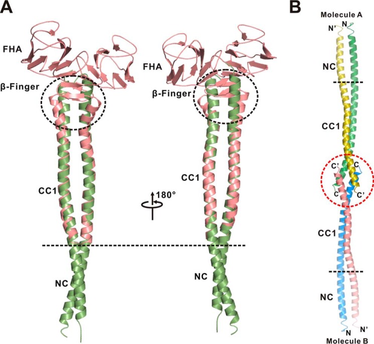 FIGURE 6.