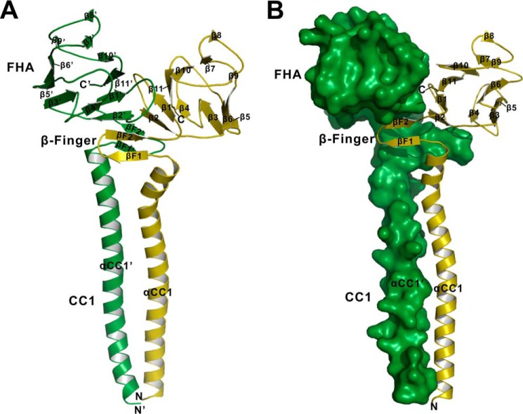 FIGURE 2.