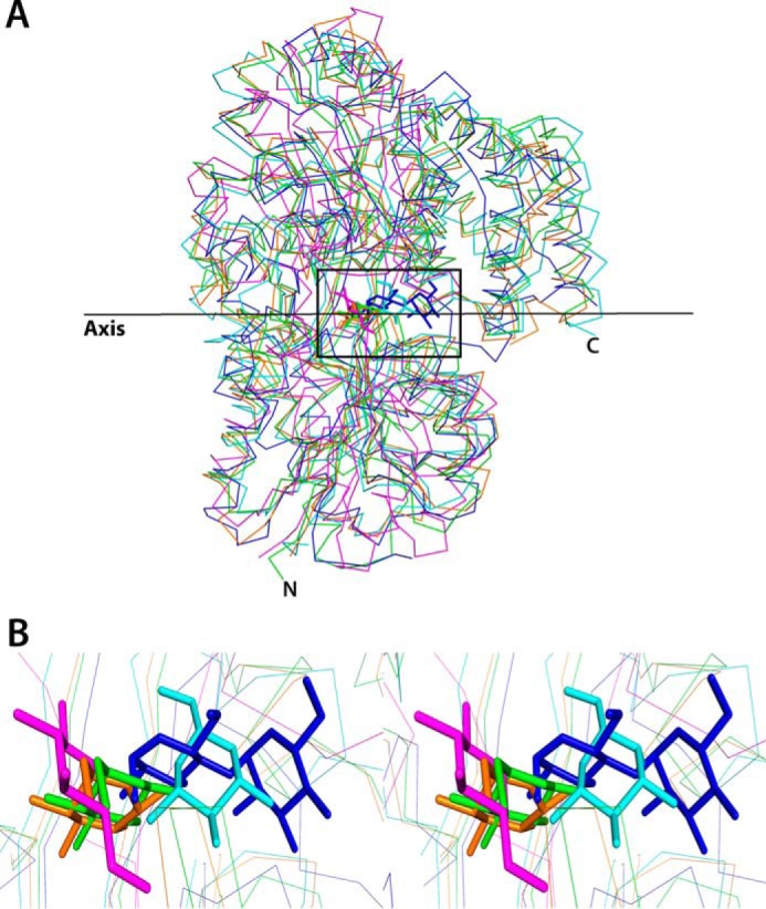 FIGURE 5.