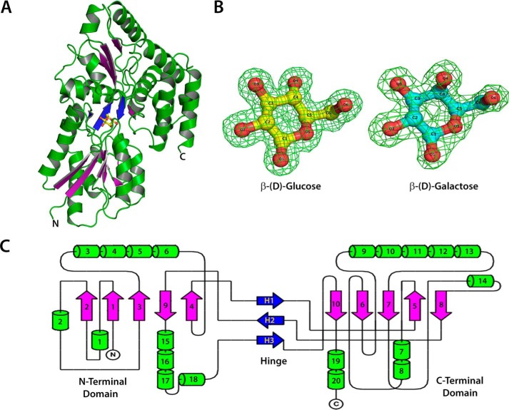 FIGURE 1.