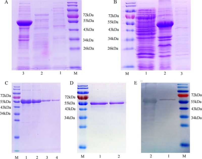 FIG 1