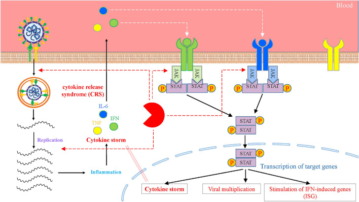 Fig. 3