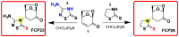 Scheme 3