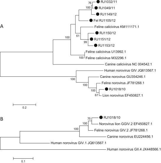 Fig. 1