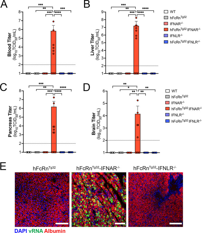 FIG 3