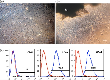 Fig. 1