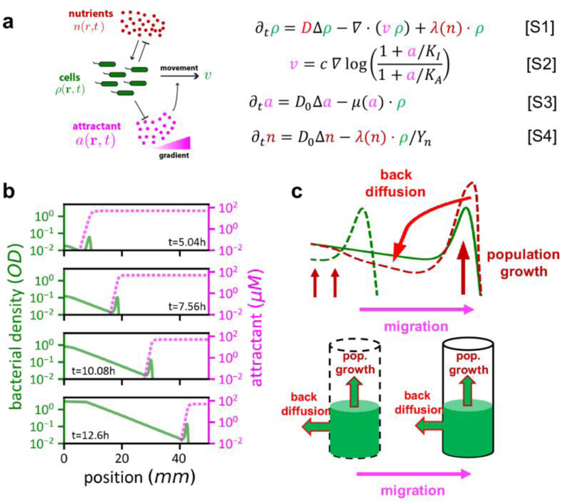 Extended Data Figure 5: