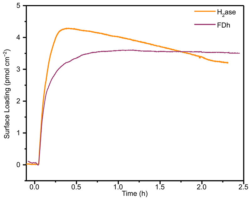 Extended Data Fig. 2