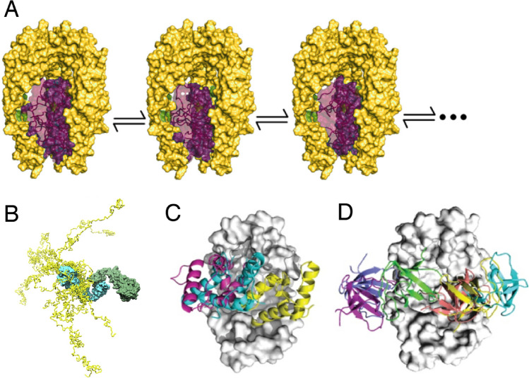 Fig. 1