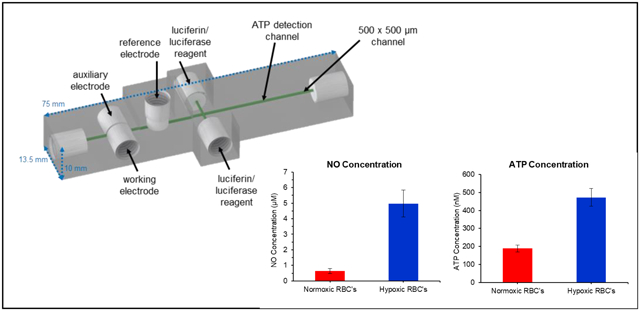 graphic file with name nihms-1831037-f0001.jpg