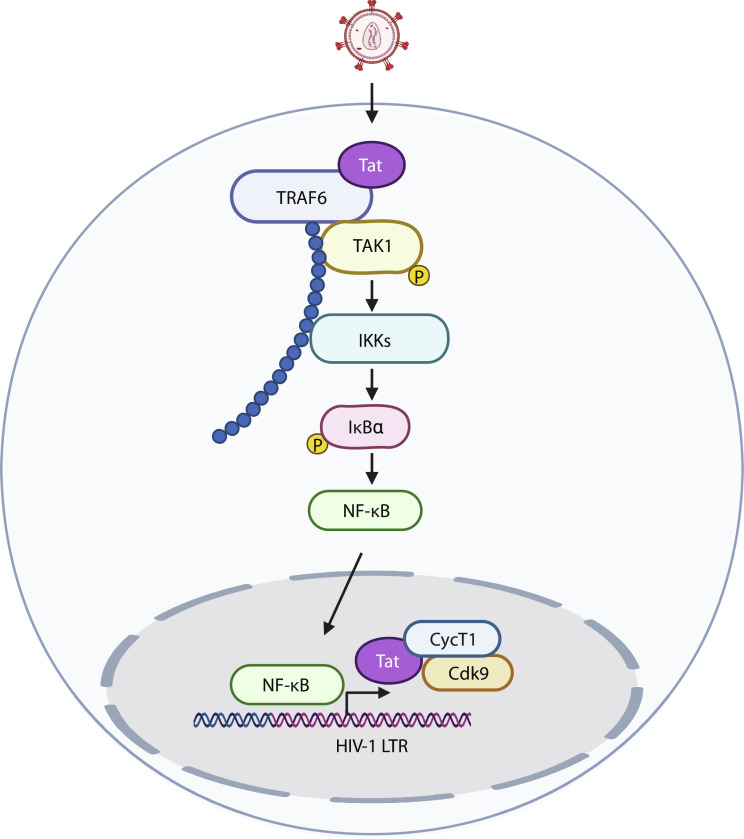 Fig. 7.