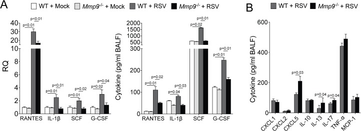 Fig 5