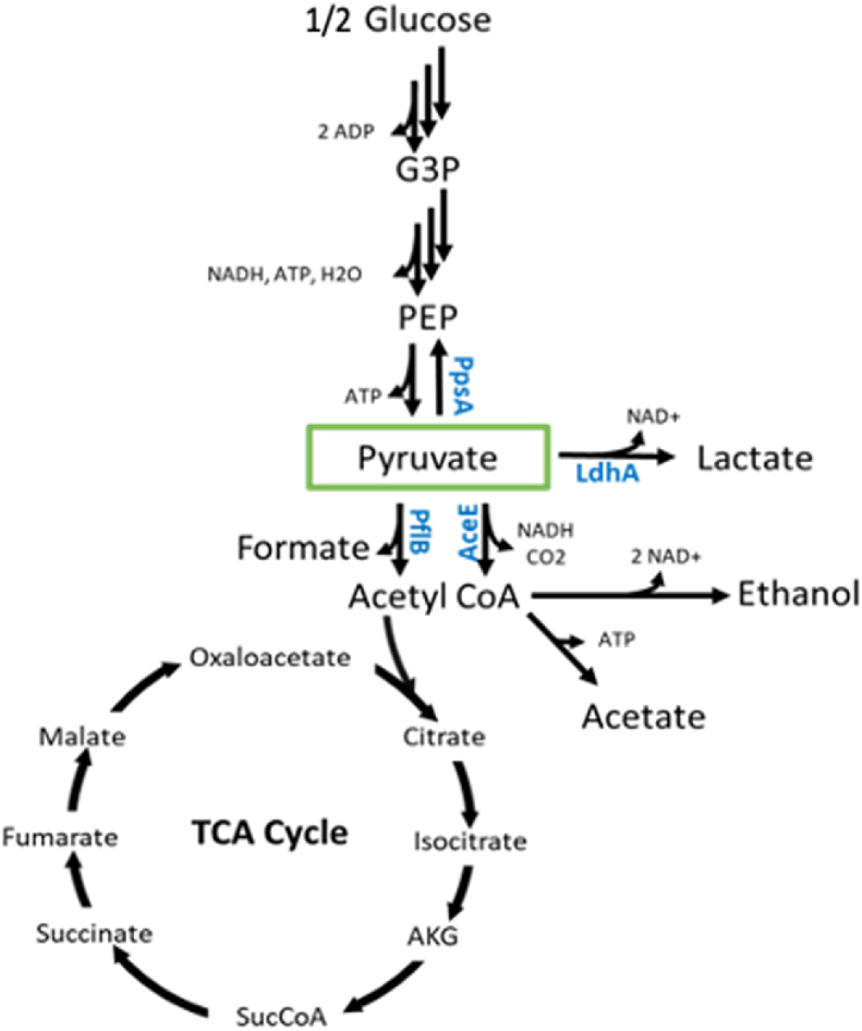 Fig. 2