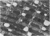 103