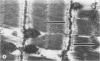 98