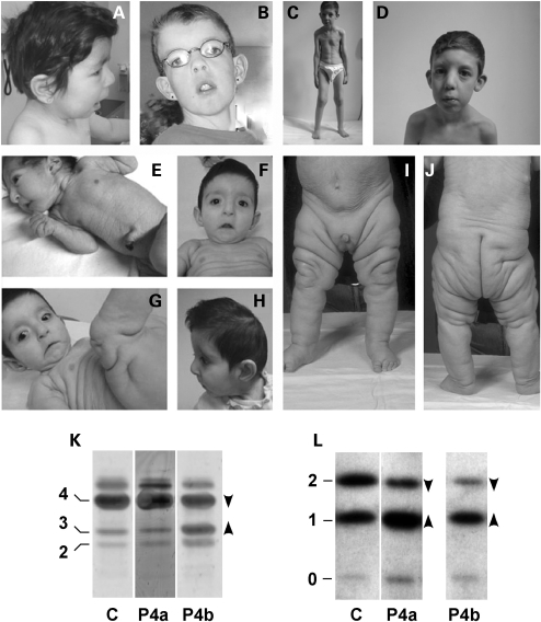 Figure 1.