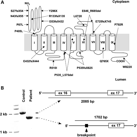 Figure 2.