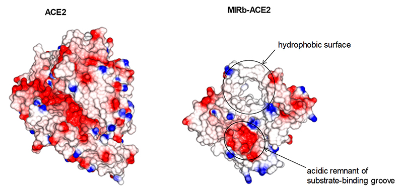 Extended Data Fig. 9