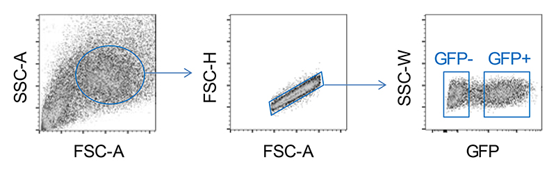 Extended Data Fig. 10