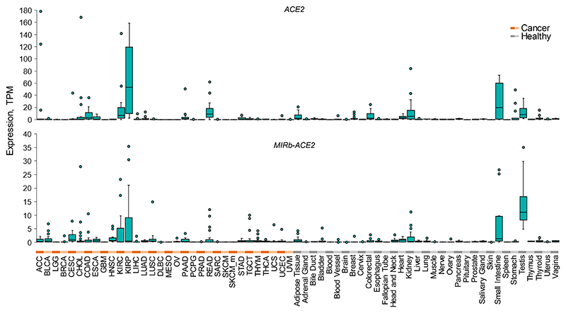 Extended Data Fig. 4