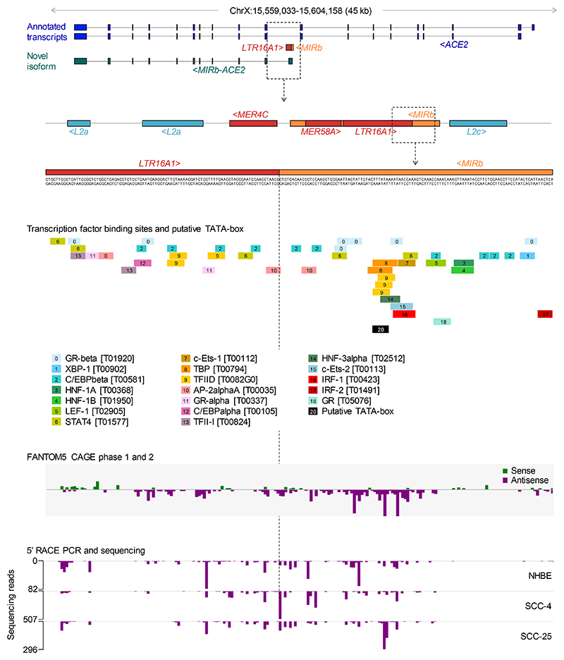 Extended Data Fig. 2