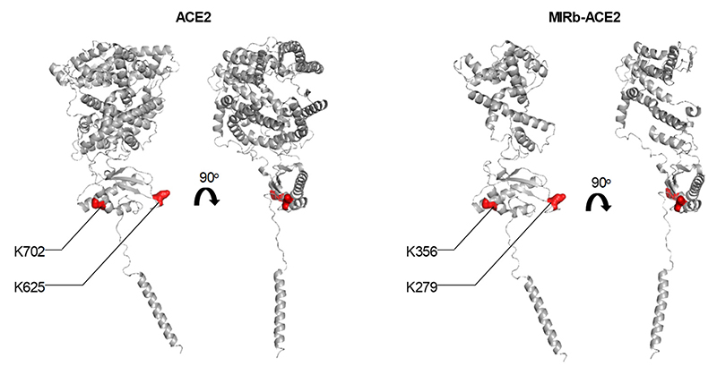 Extended Data Fig. 8