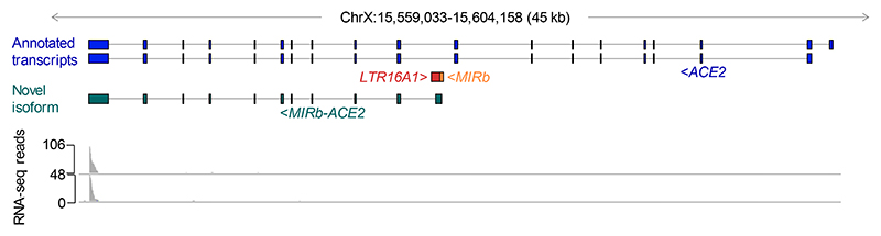 Extended Data Fig. 5