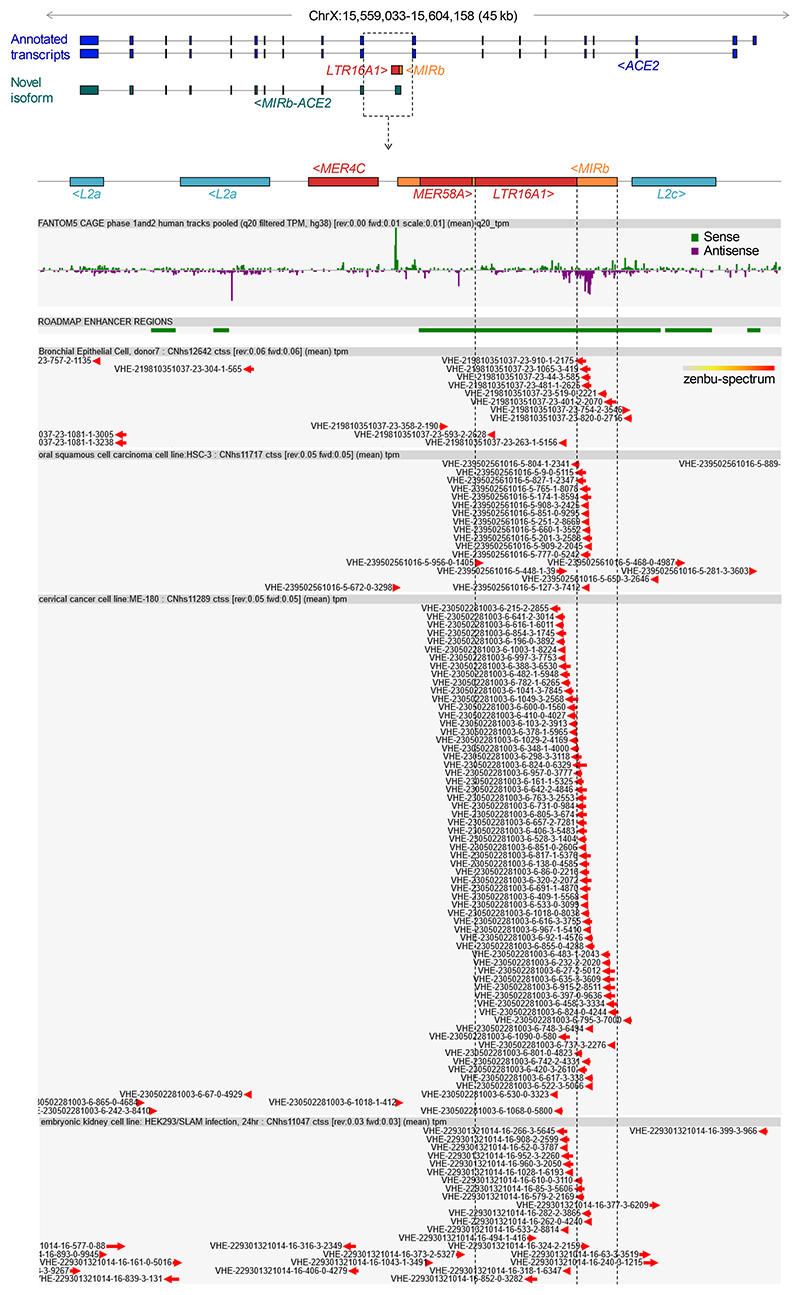 Extended Data Fig. 1