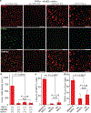 Fig. 4 |
