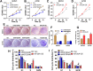 Fig. 2