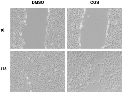 Figure 4