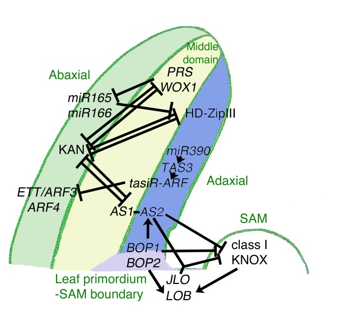 Figure 5.