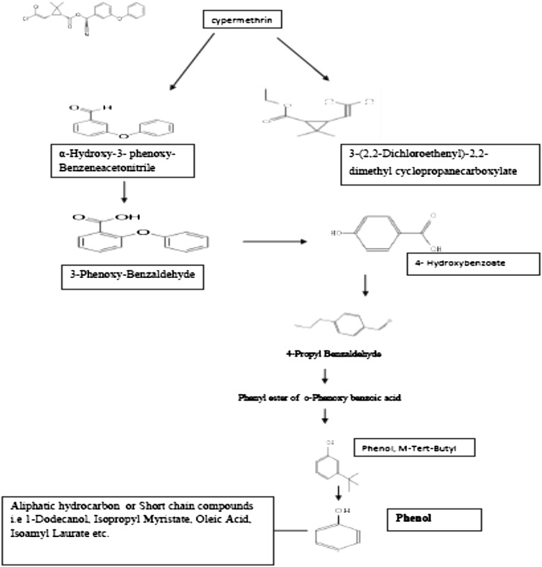 Fig. 6